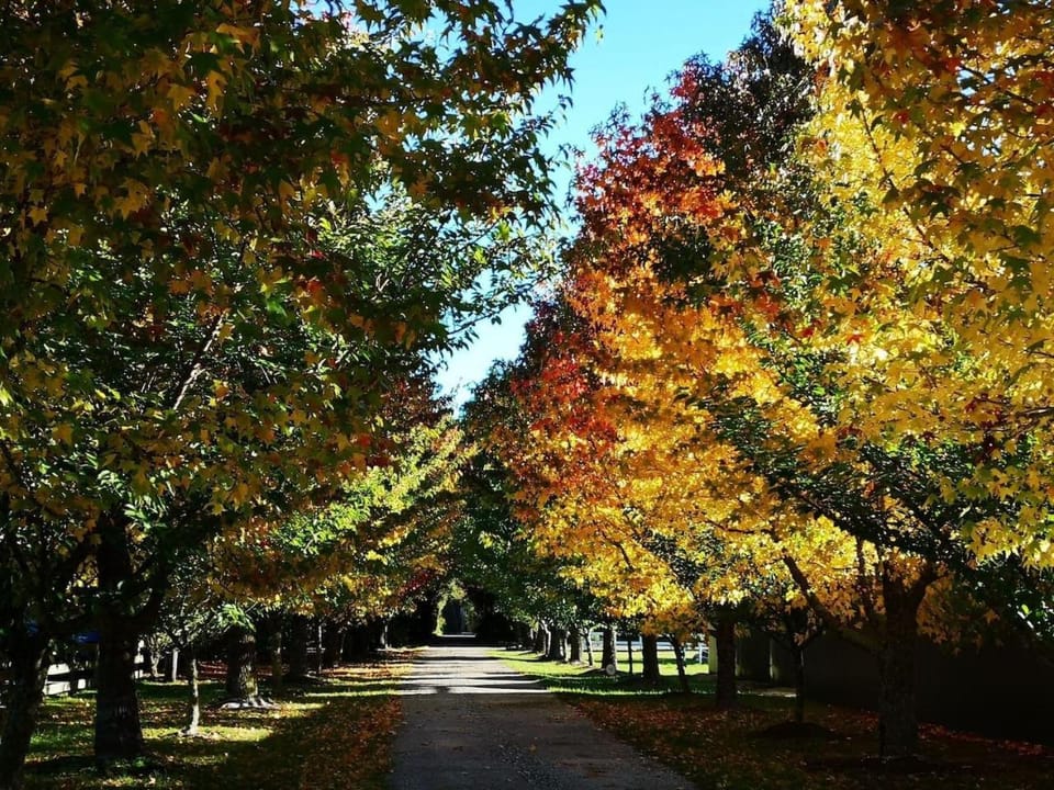 Natural landscape, Garden view