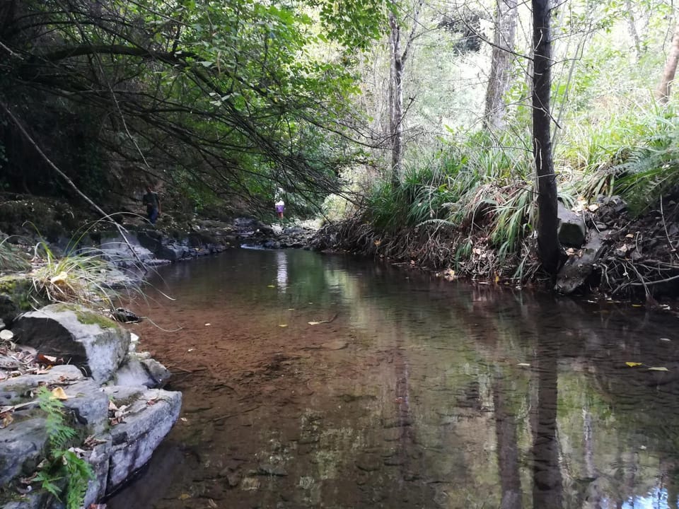 Hiking