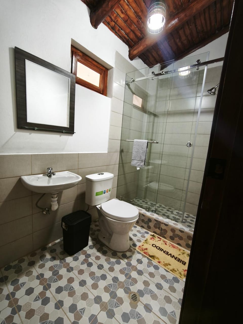 Shower, Toilet