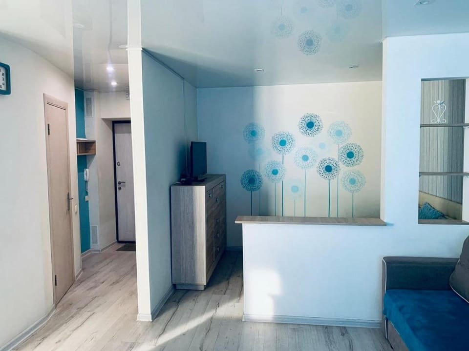 квартира -студия в центре Apartment in Ukraine