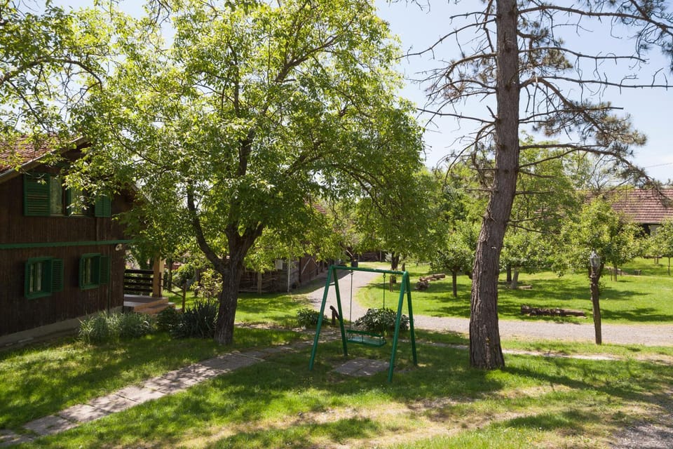 Children play ground, Garden