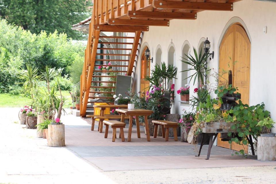 Property building, Garden view