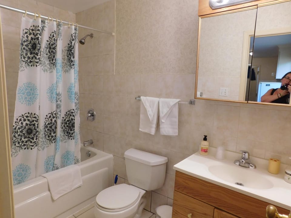 Toilet, Bathroom, Bath, towels