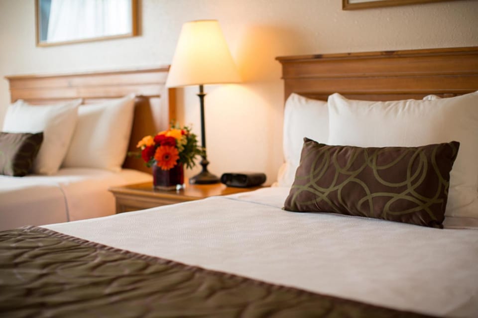 Shower, Toilet, Bathroom, TV and multimedia, Coffee/tea facilities, Bedroom, On site