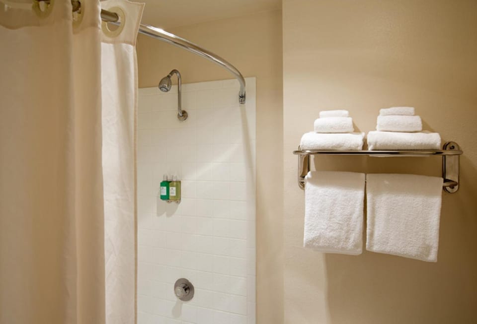 Shower, Toilet, Photo of the whole room, On site
