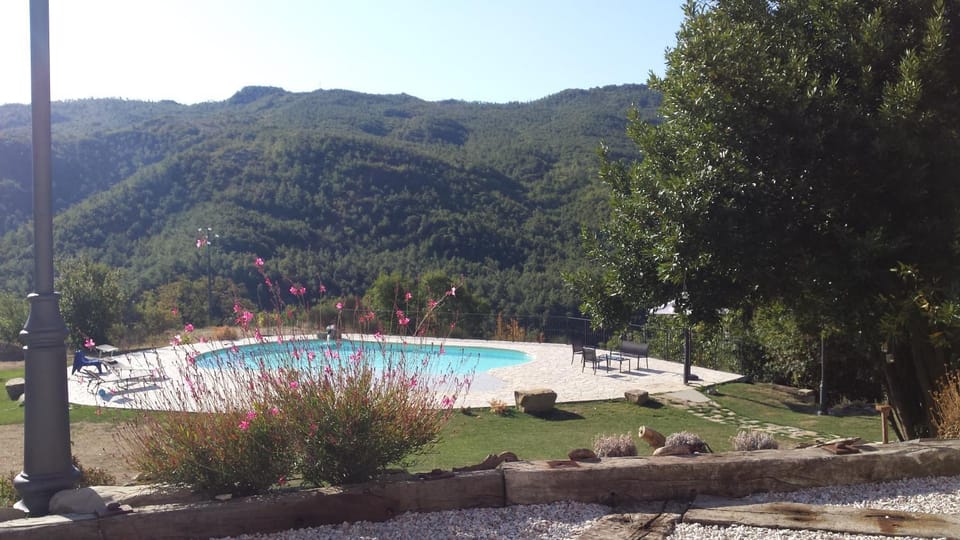 Garden, Swimming pool