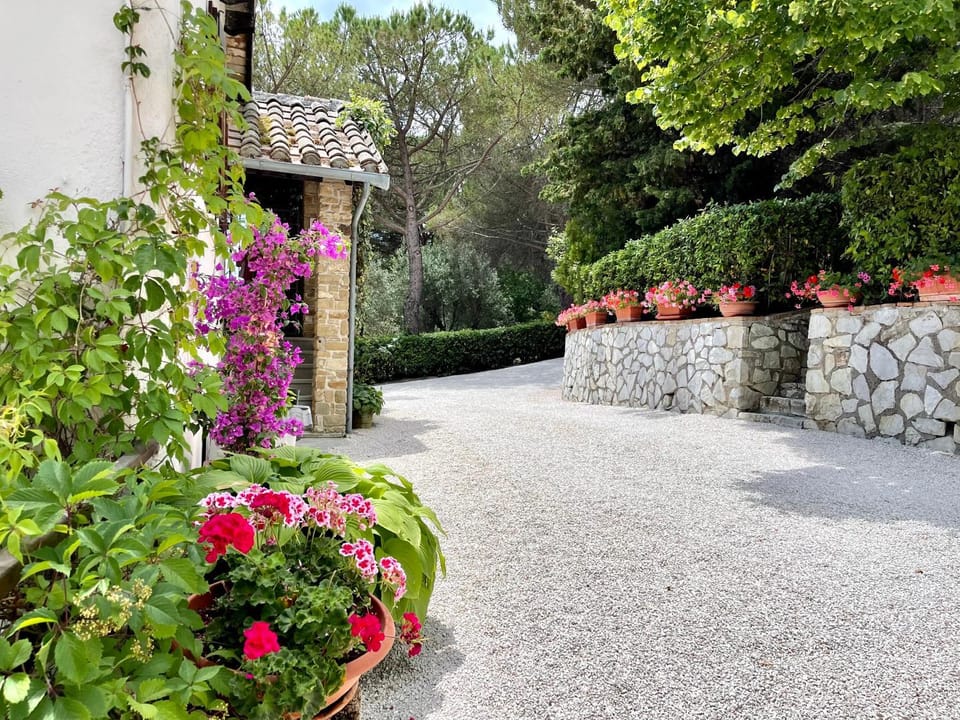 Property building, Facade/entrance, Garden