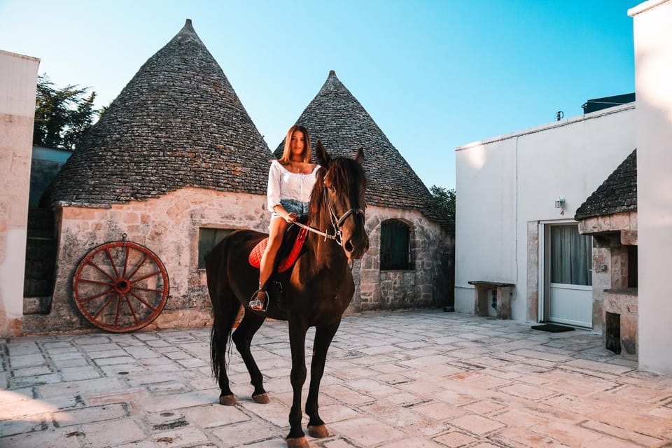 Property building, Activities, Horse-riding, Animals, Entertainment