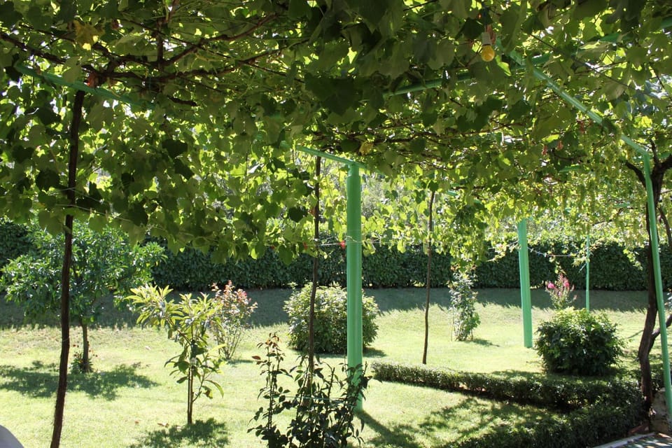 Pansion Pero Elez Medjugorje Bed and Breakfast in Federation of Bosnia and Herzegovina