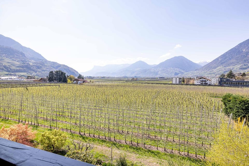 Natural landscape, View (from property/room)