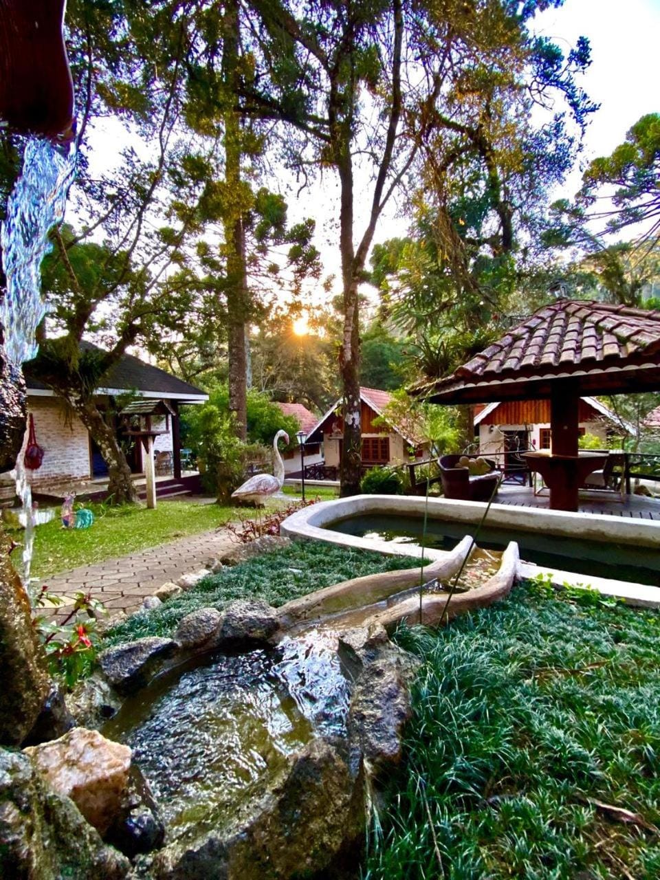 Natural landscape, Garden