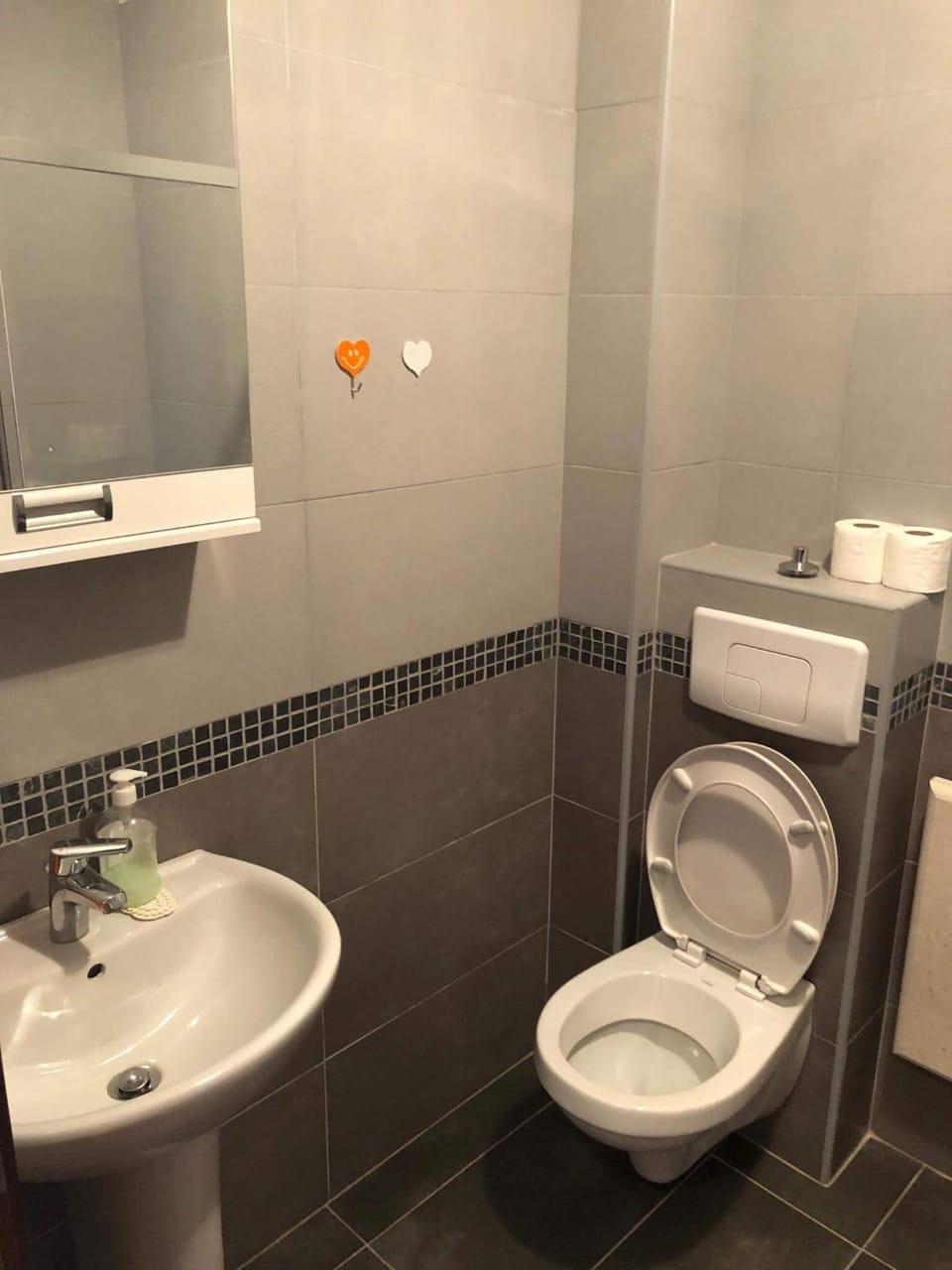 Apartman Lenka Apartment in Zlatibor
