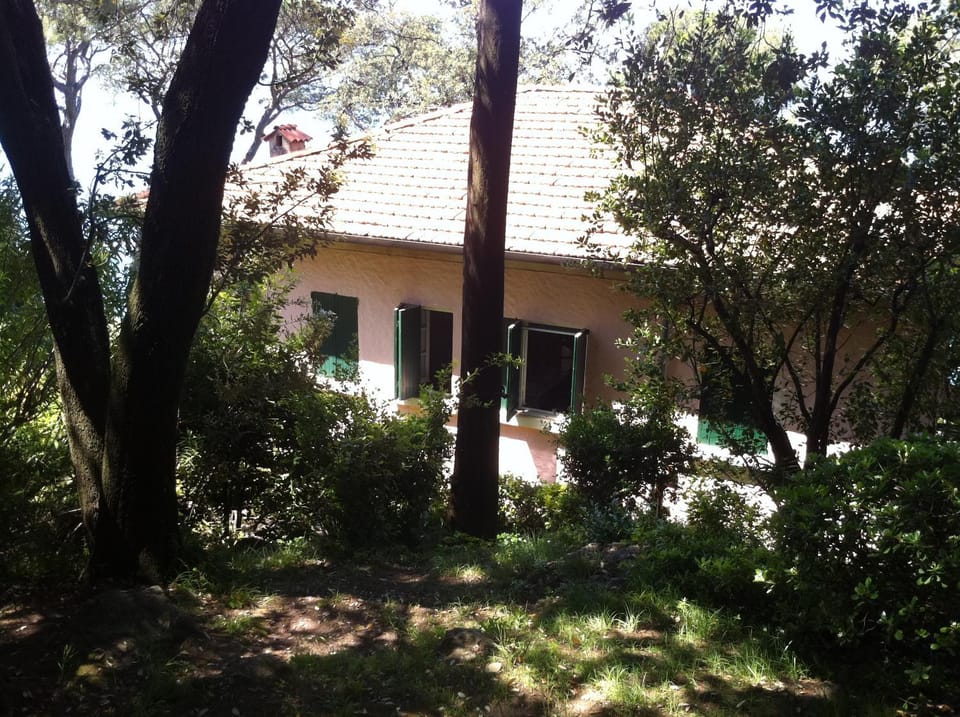 Facade/entrance, Garden, Garden view