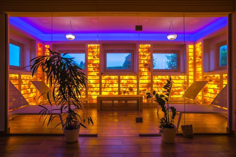 Sauna, Spa and wellness centre/facilities, Area and facilities