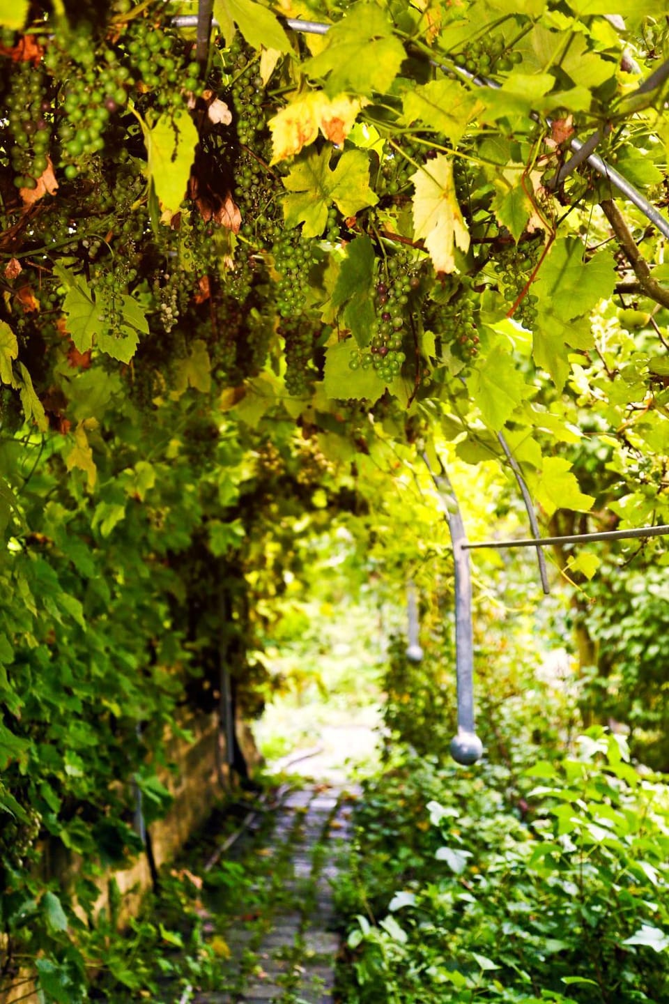 Urlaubspension 'Hohes Rott' und Apartmenthaus Bed and Breakfast in Thuringia, Germany