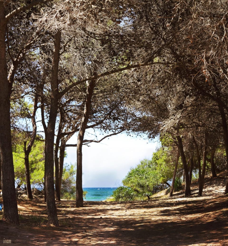 Natural landscape
