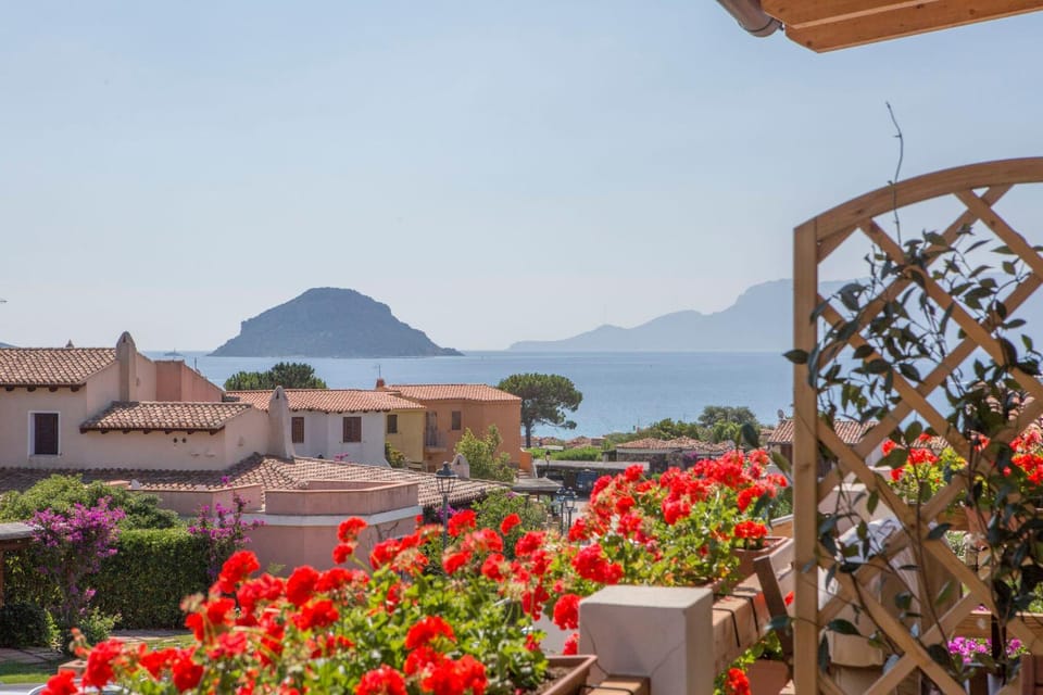 Blue Portrait House Apartment in Golfo Aranci