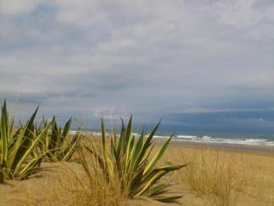 Natural landscape, Beach