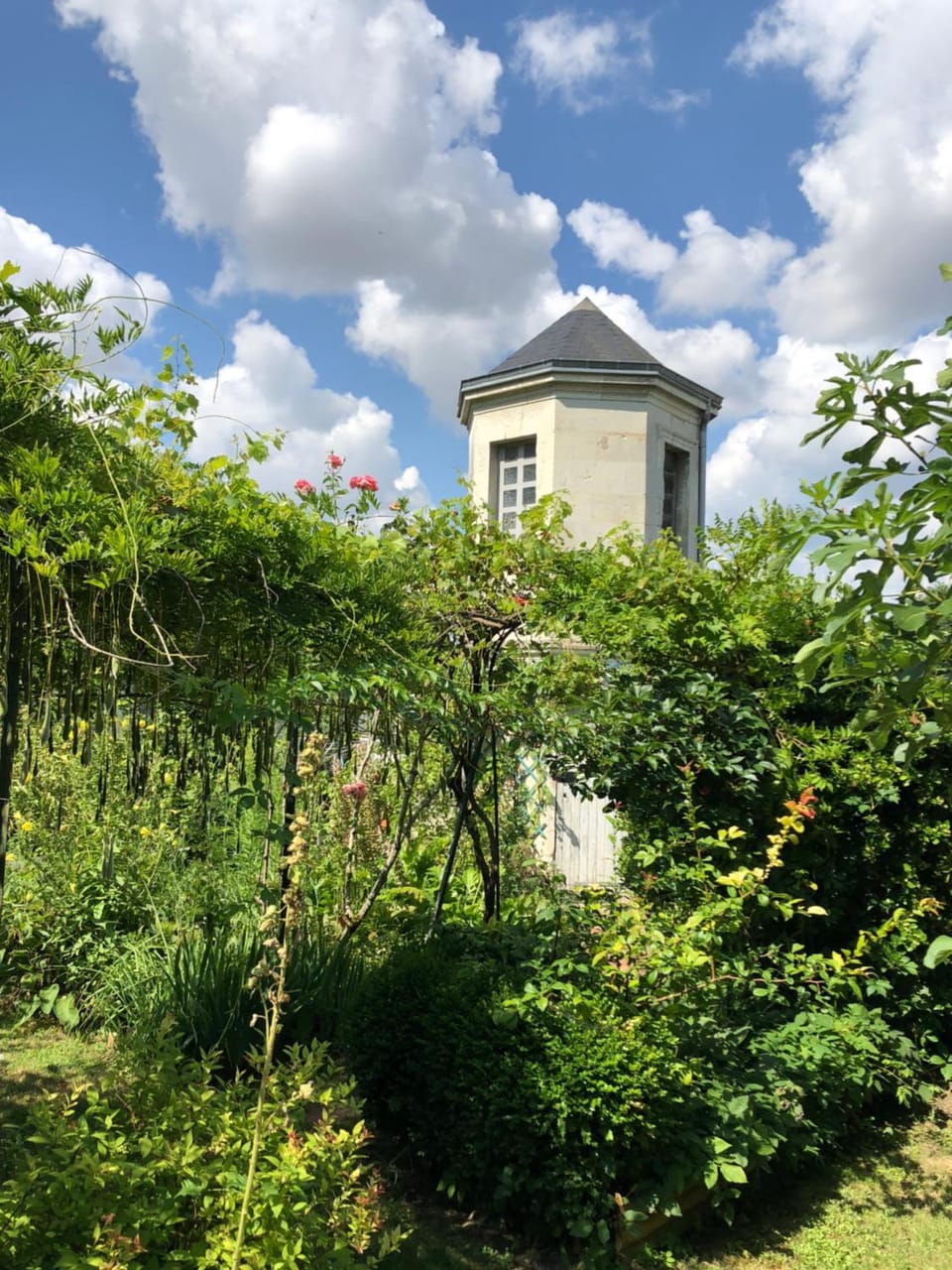 Garden, Garden