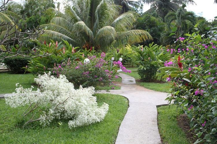 Fleurs des Iles House in Deshaies