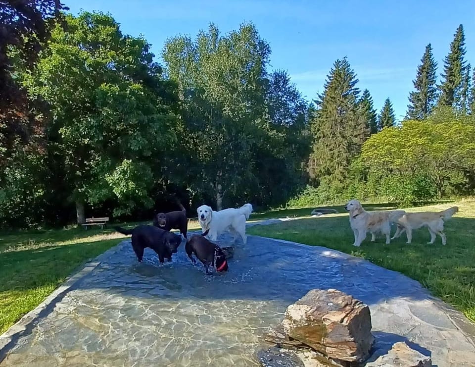 Landhaus Schlossberg Apartment in Medebach