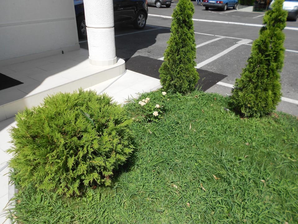 Vila Apolo Bed and Breakfast in Belgrade