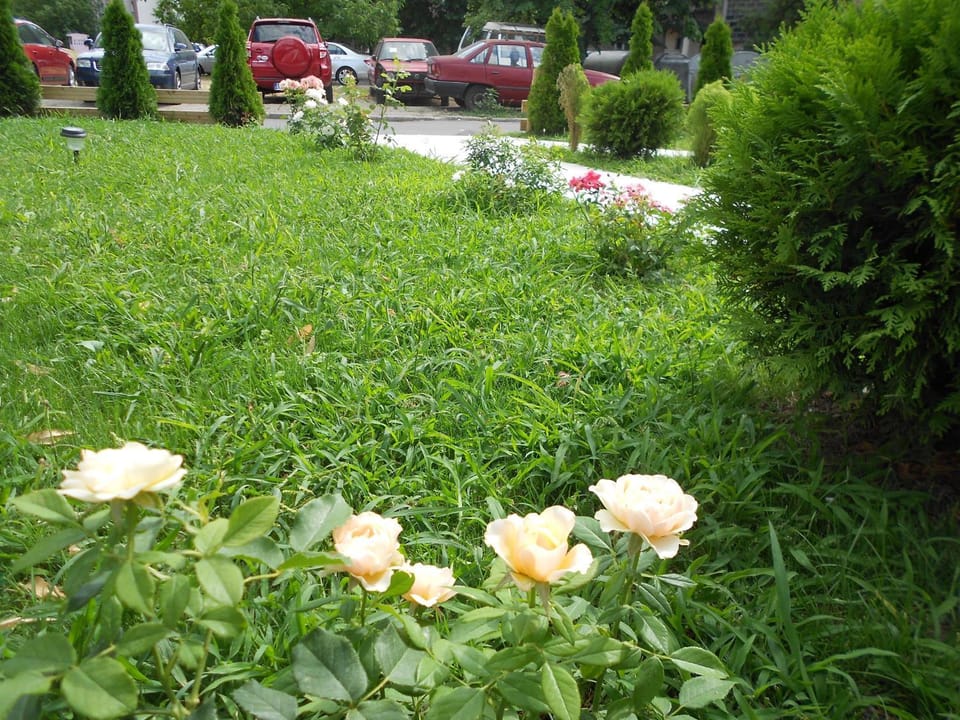 Vila Apolo Bed and Breakfast in Belgrade