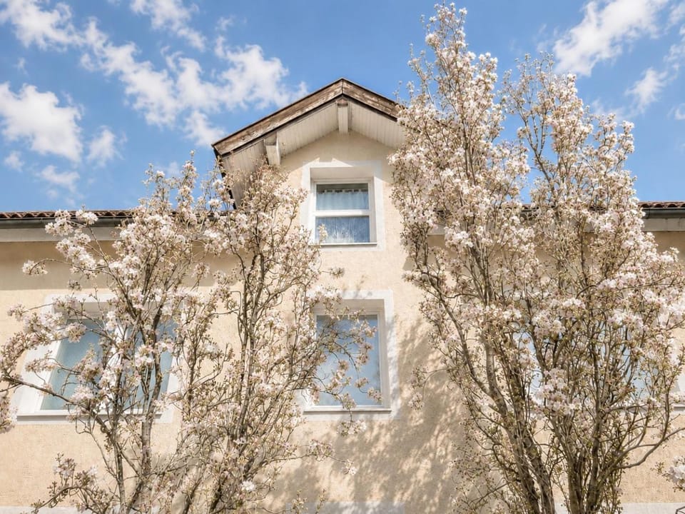 Haus OS Apartment in Salzburgerland