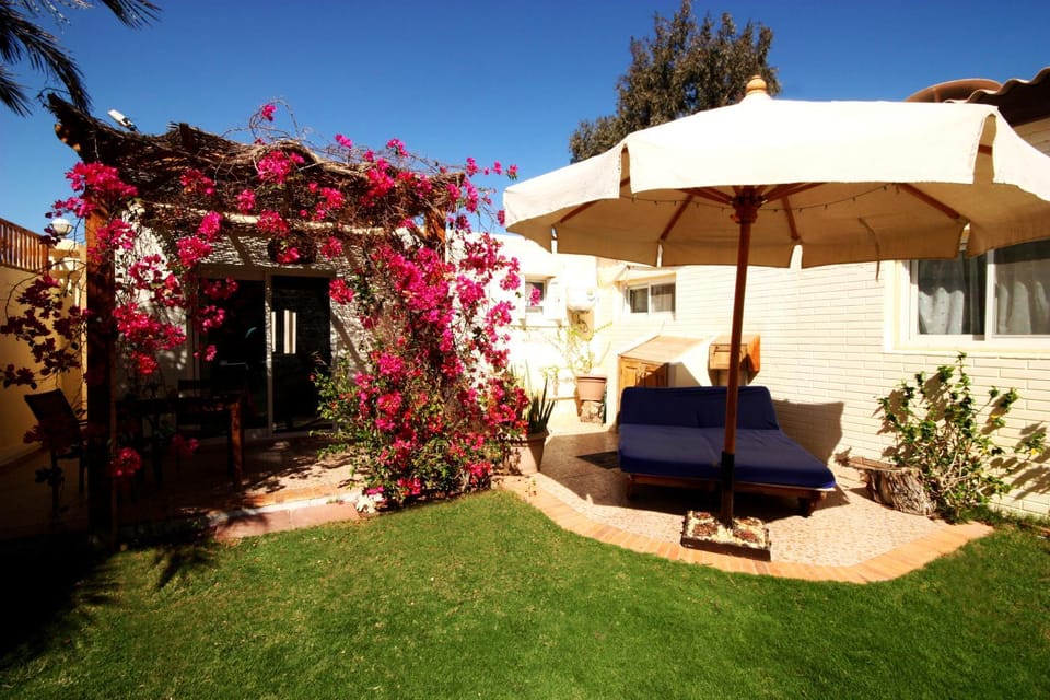 Patio, Garden, Balcony/Terrace