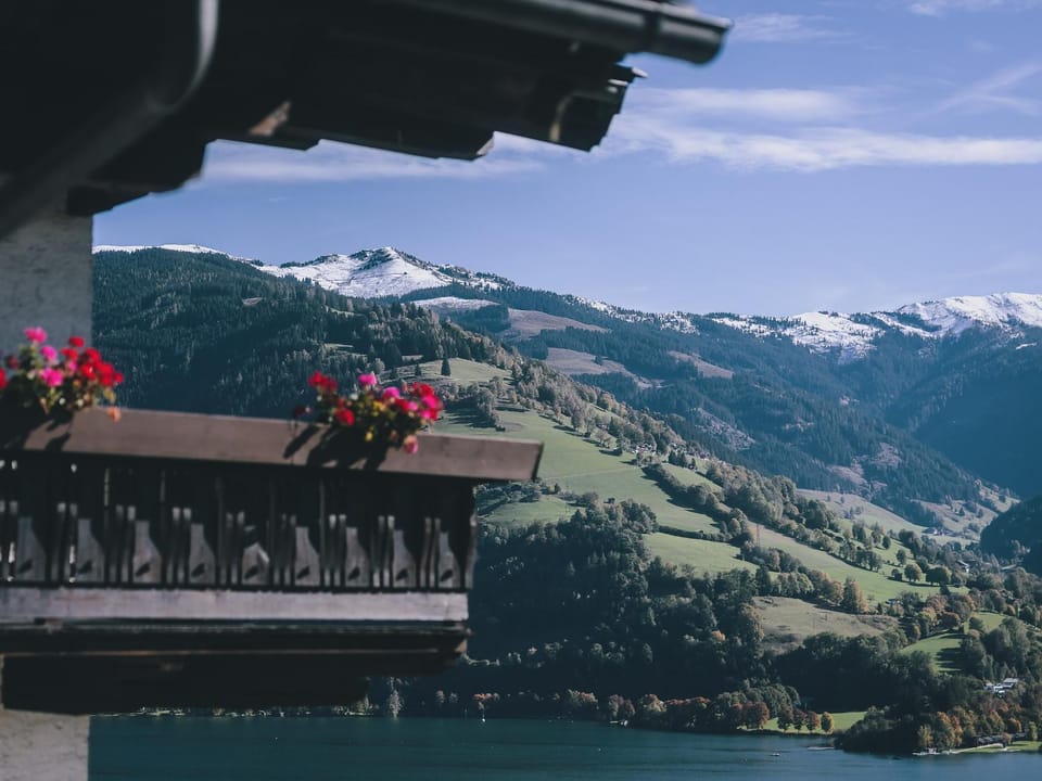 View (from property/room)