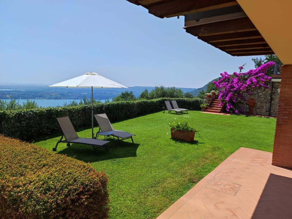 Day, Natural landscape, Garden, Garden view, sunbed