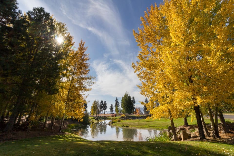 Natural landscape, Garden, Hiking