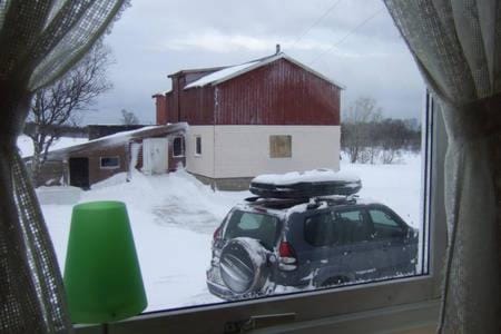 Winter