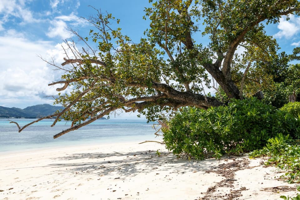 Day, Natural landscape, Beach, Sea view, Area and facilities
