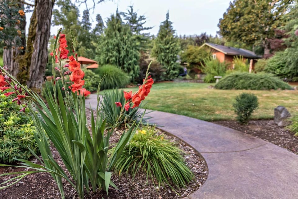 Garden view