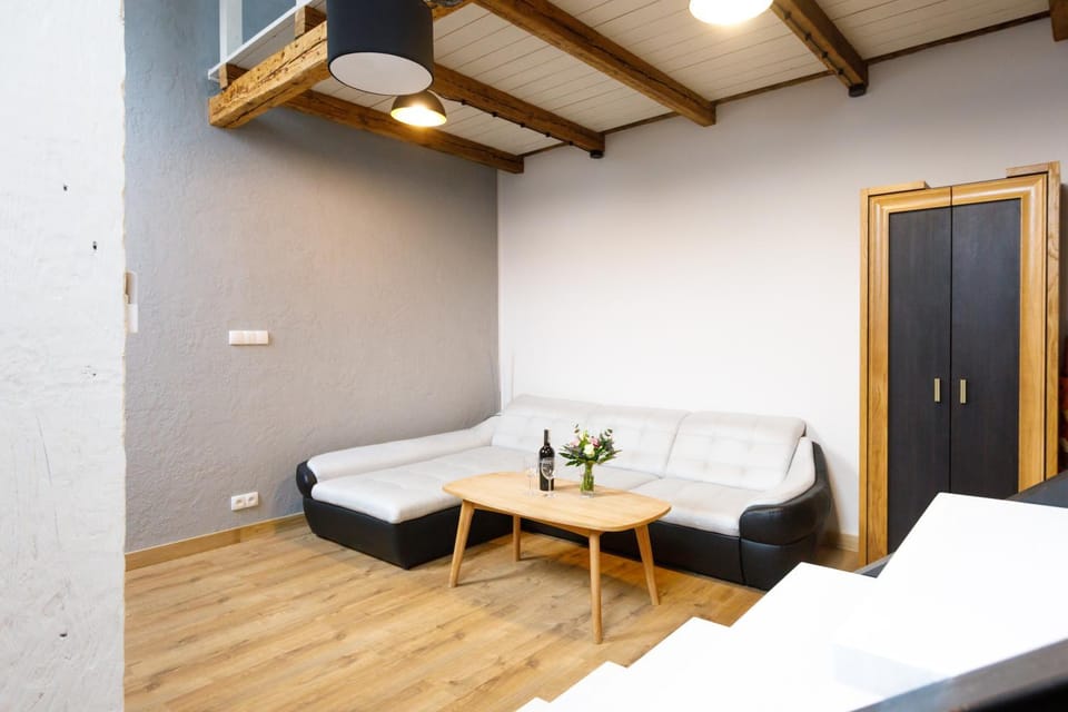 Apartamenty Vilda Apartment in Poznan