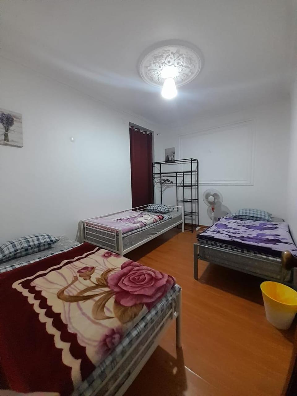 Garden Guest House Bed and Breakfast in Lisbon