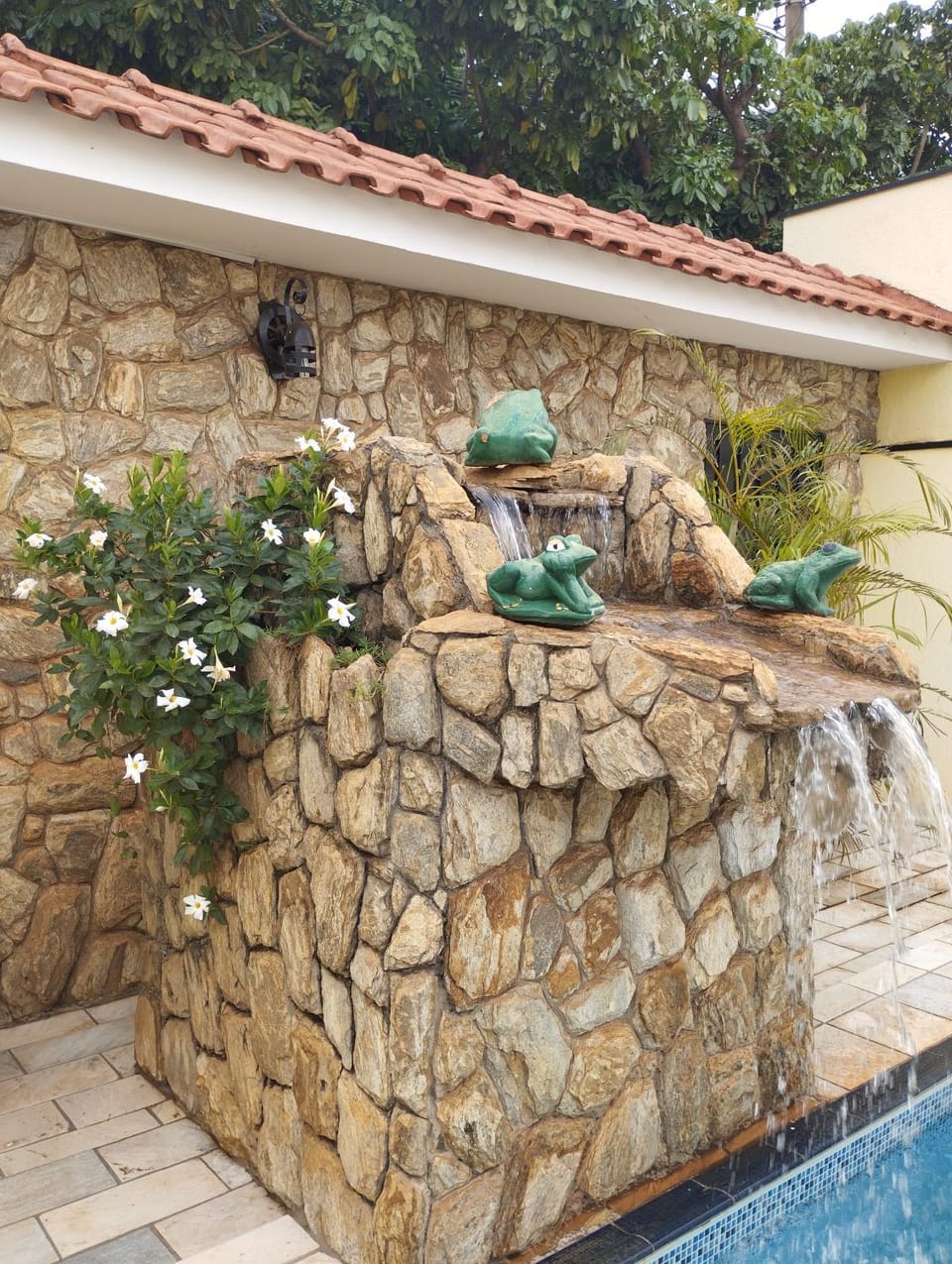Garden, Garden view, Pool view, Swimming pool