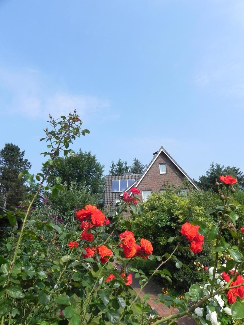 Haus *Üüs Aran* Wohnung Nr. 6 Apartment in Nordfriesland