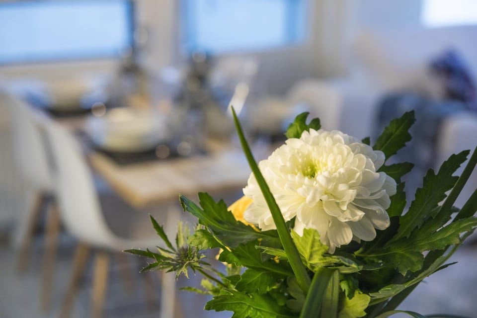 Vasko luxurious suites, Livo Apartment in Rovaniemi