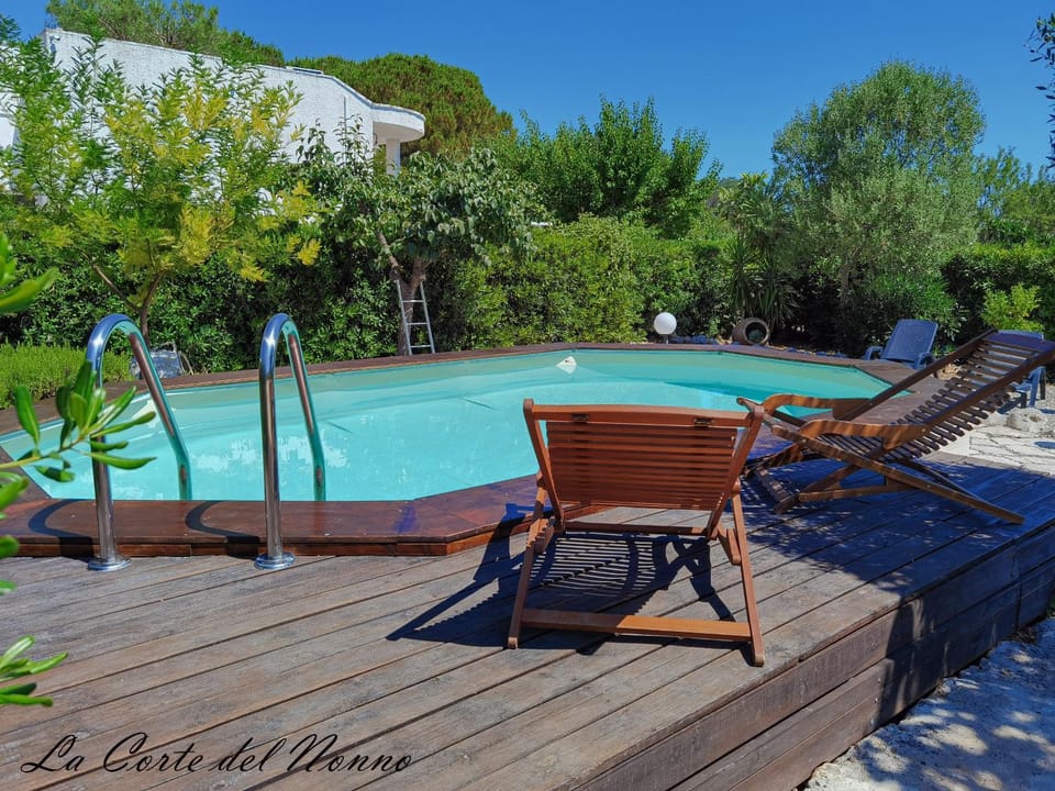 Property building, Patio, Solarium, Swimming pool, Swimming pool