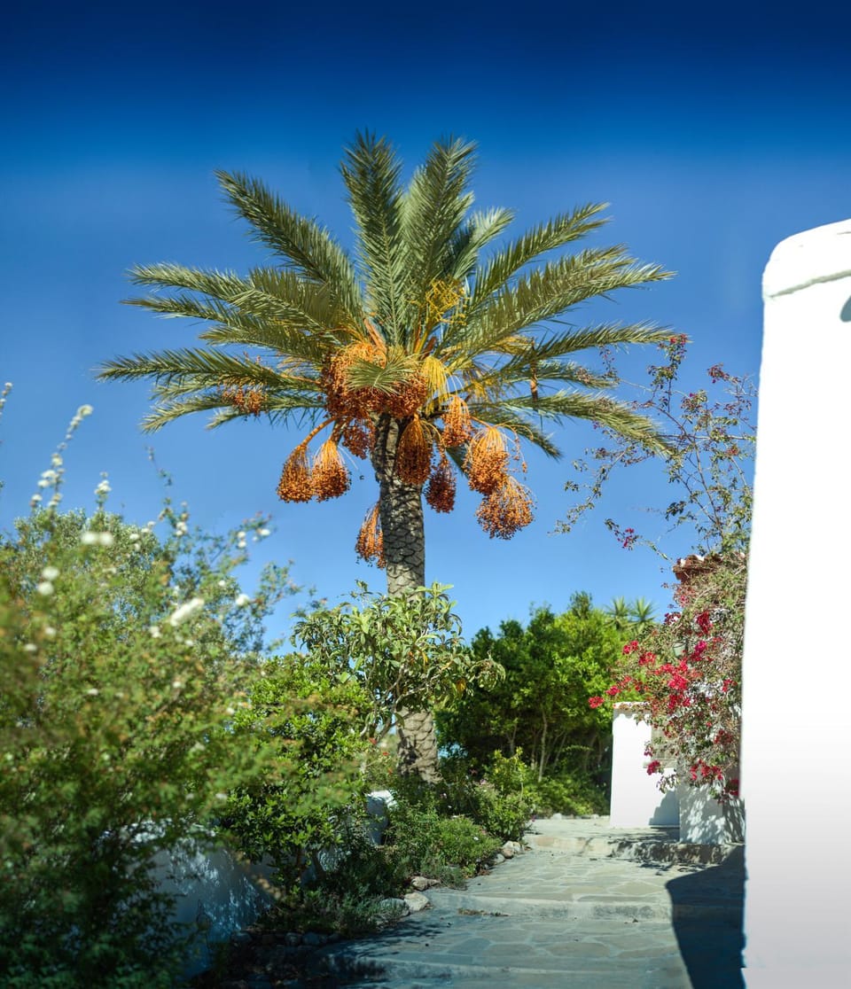 Villa Historica Villa in Ibiza