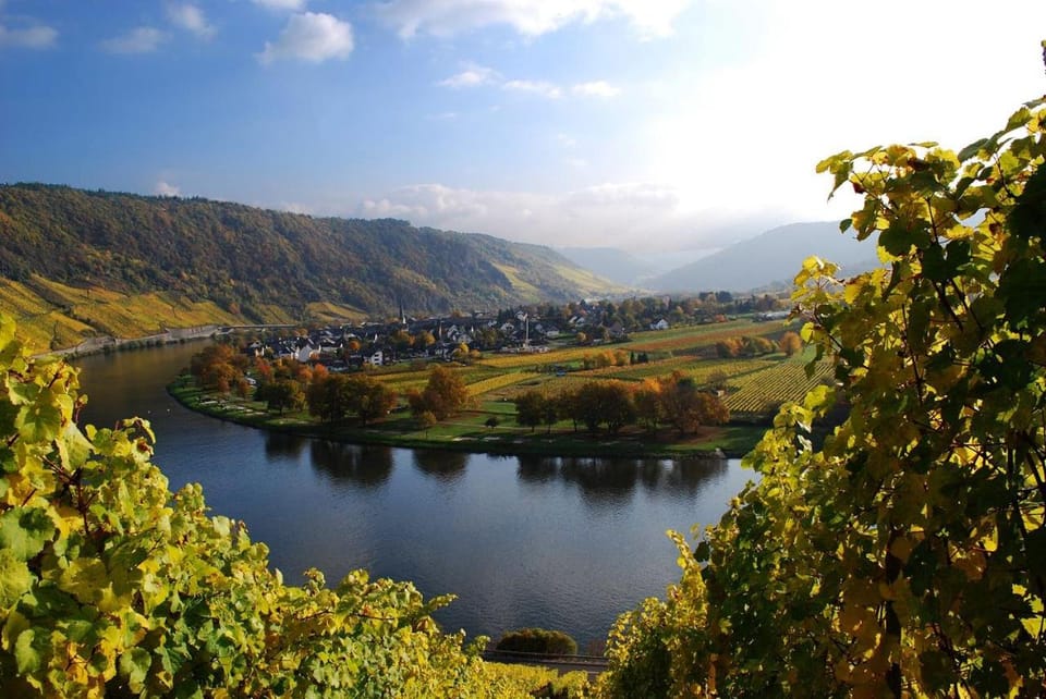 York Cottage Garden Apartment in Rhineland-Palatinate