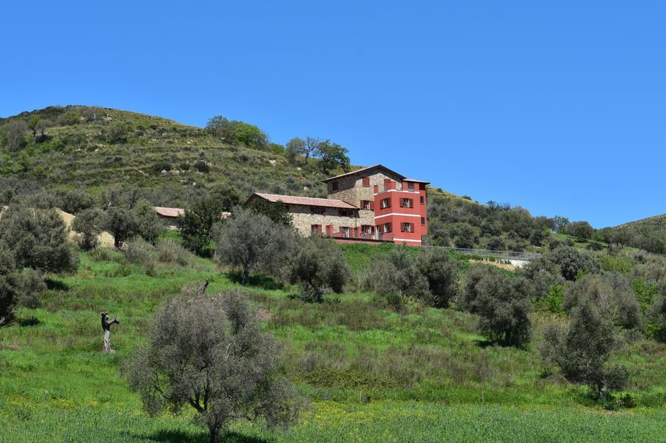 Property building, Street view
