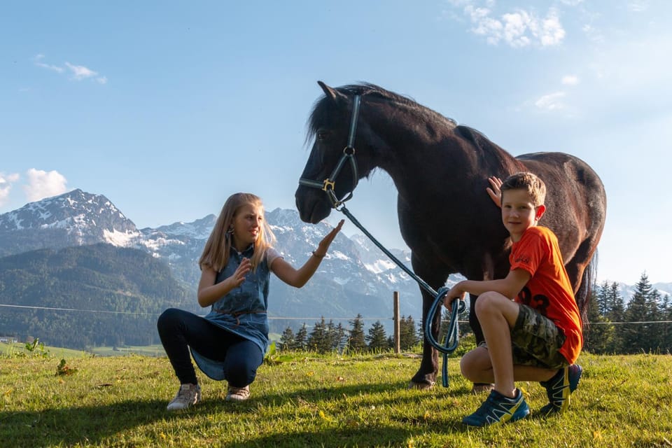 Day, People, Natural landscape, Horse-riding, Animals, Mountain view, children, group of guests, Family