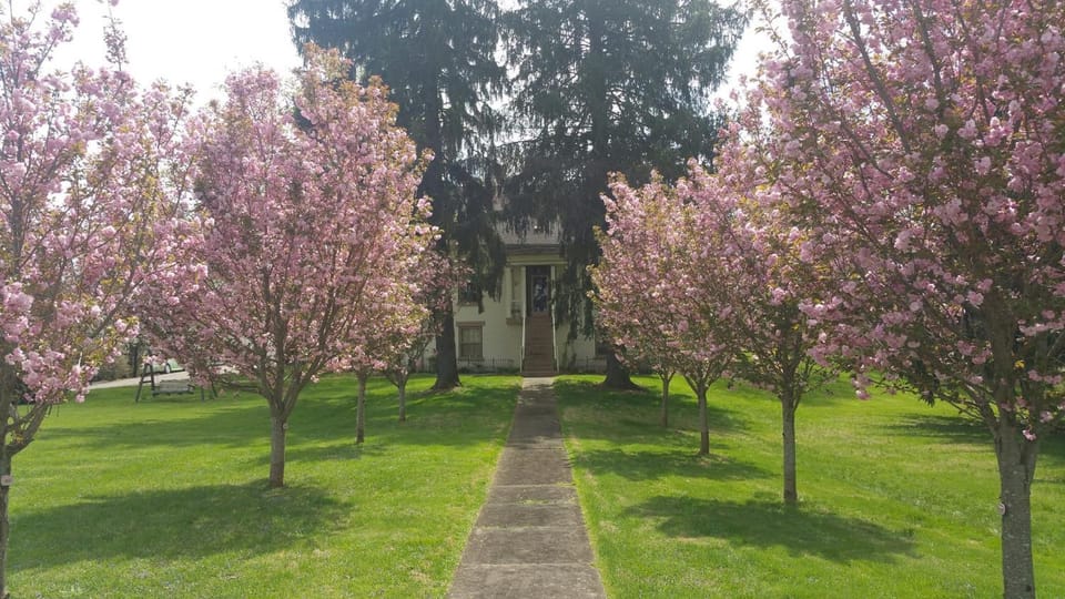 The Pines of Dresden Bed and Breakfast in Ohio