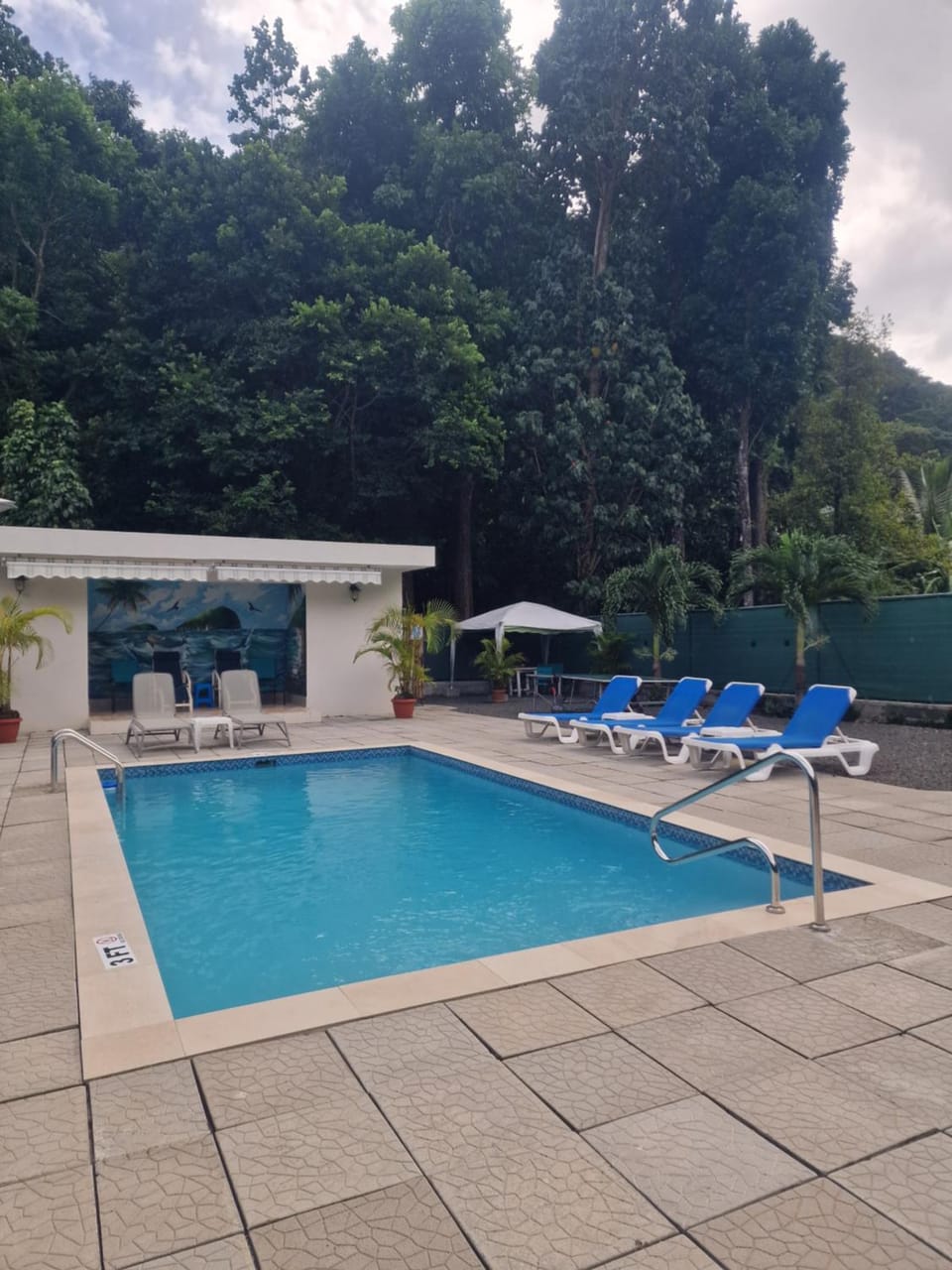Day, Natural landscape, Pool view, Swimming pool, sunbed