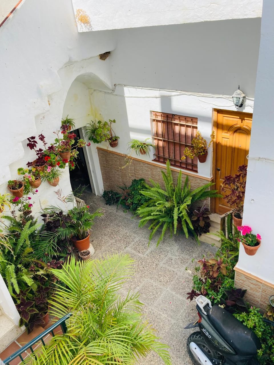 Patio
