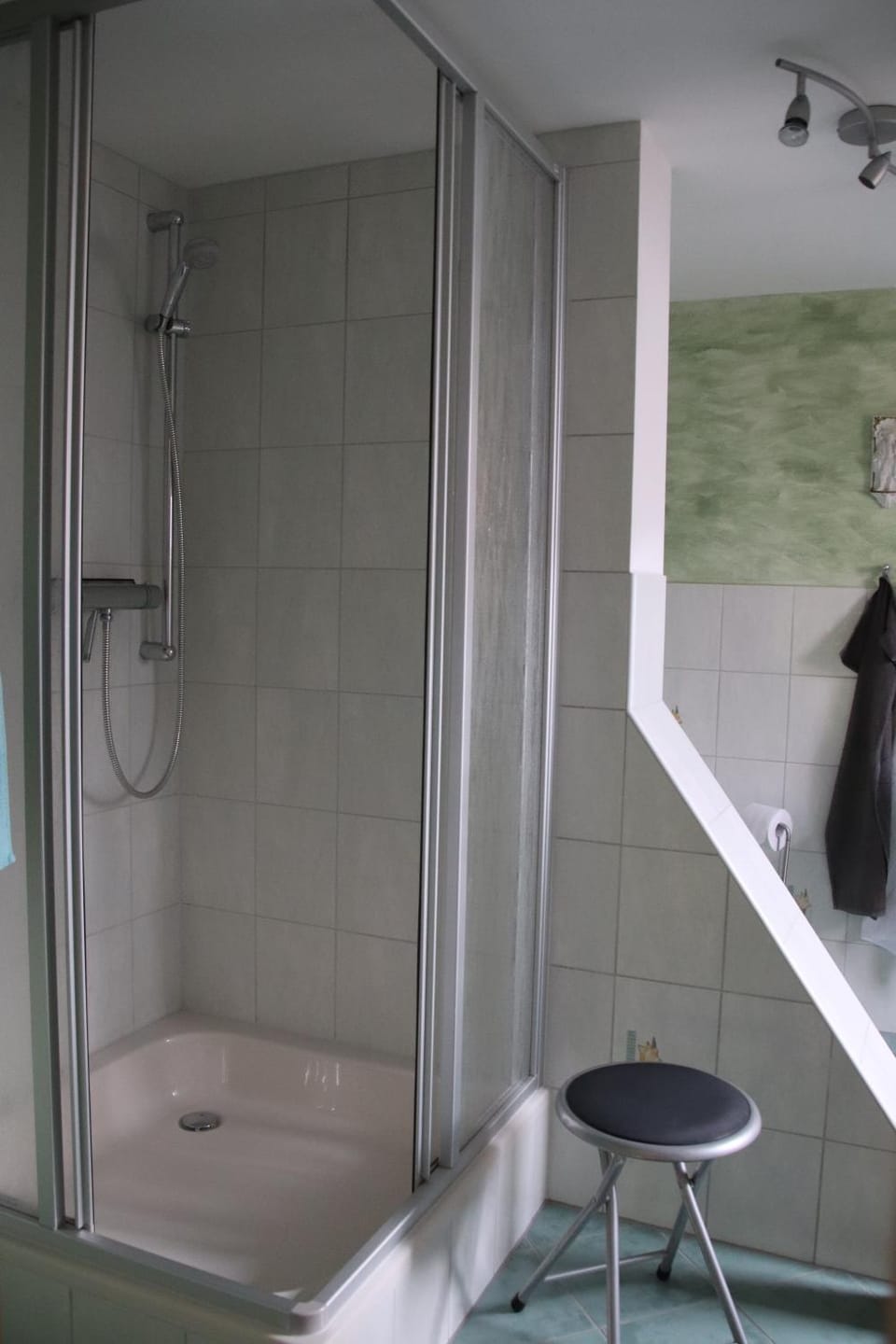 Shower, Bathroom, Photo of the whole room