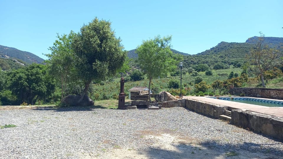 Natural landscape, Garden